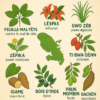 Que sont devenues les plantes d’antan en Martinique ?